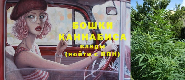 индика Зерноград
