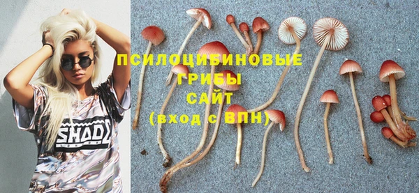 СК Баксан